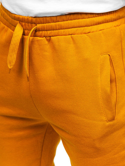 Muške trenirke Camel joggers Bolf CK01