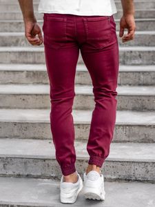 Bordo jogger hlače muške Bolf CT8808