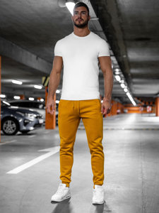 Muške trenirke Camel joggers Bolf XW01-A